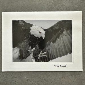 Eagle Gold Eye Black & White Photography Vintage Photo Card, Art Made in Alaska